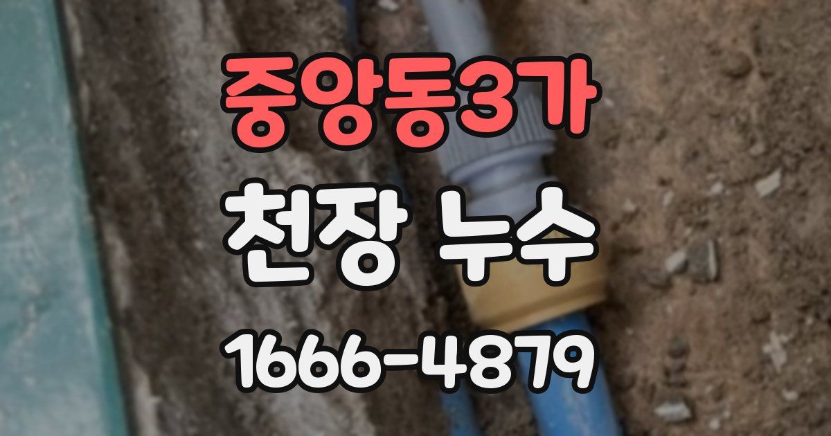 중앙동3가 천장 누수