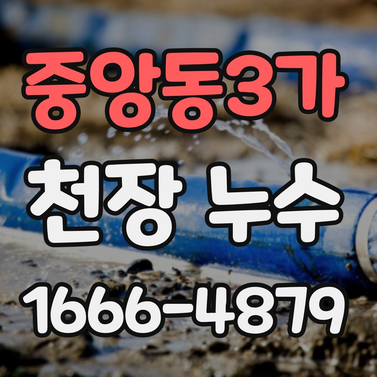 중앙동3가 천장 누수