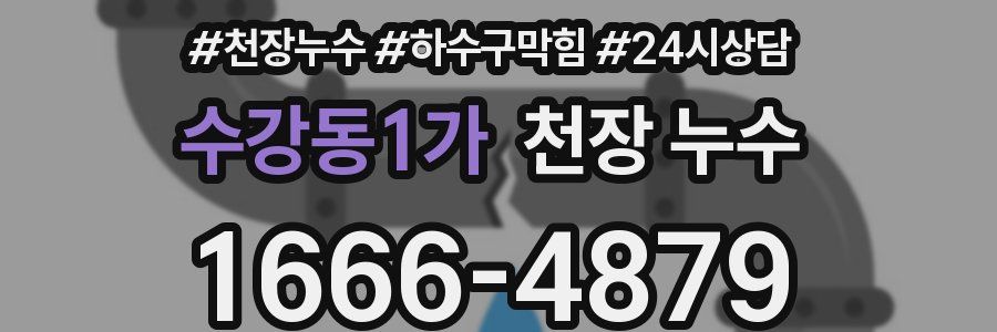 수강동1가 천장 누수