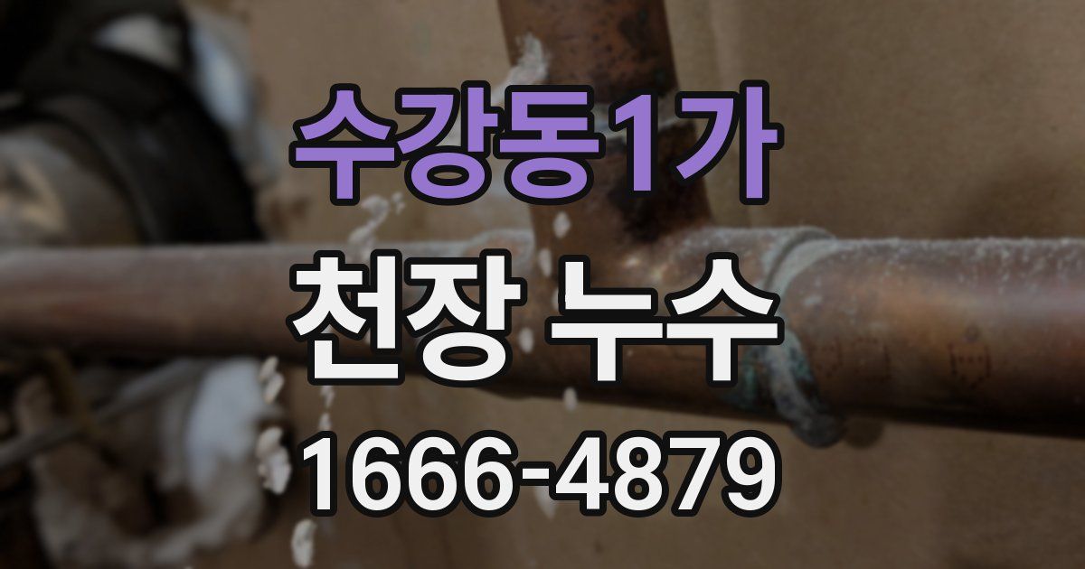 수강동1가 천장 누수