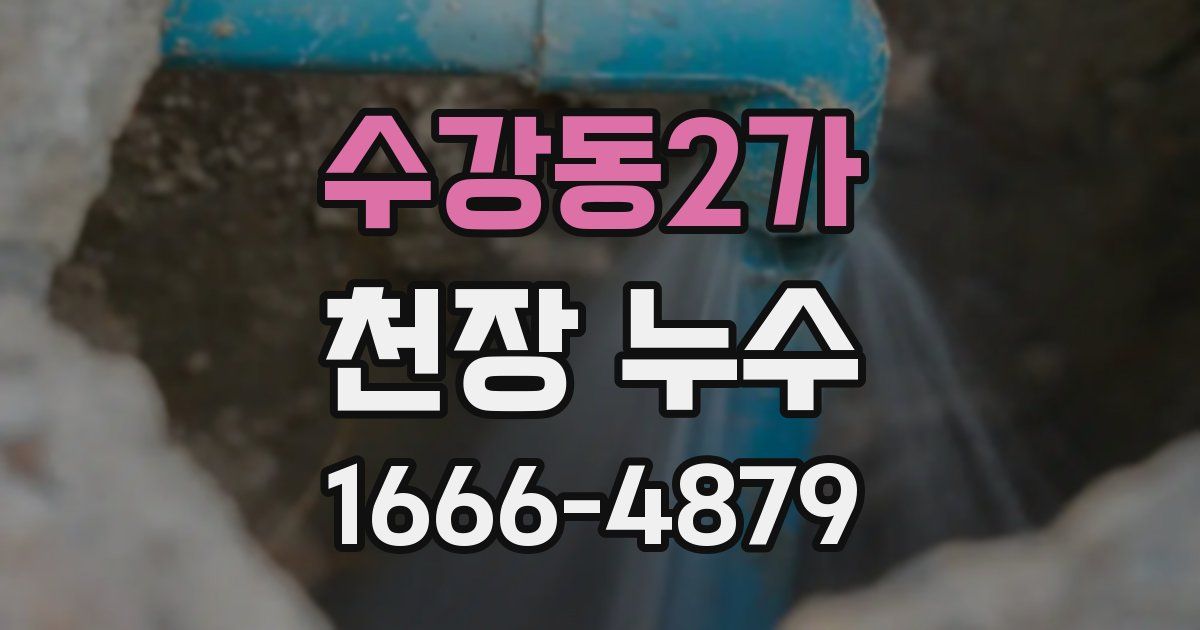 수강동2가 천장 누수