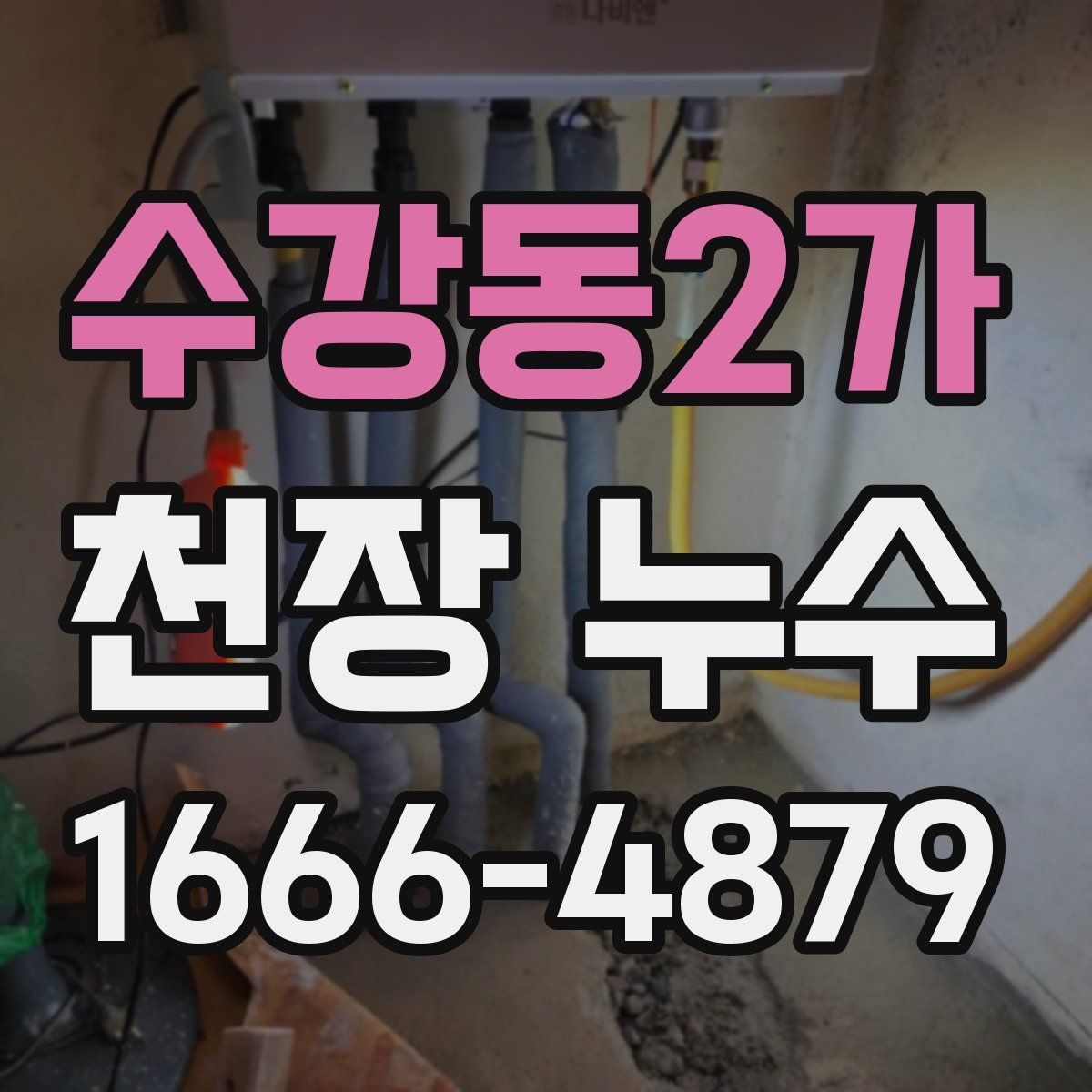 수강동2가 천장 누수