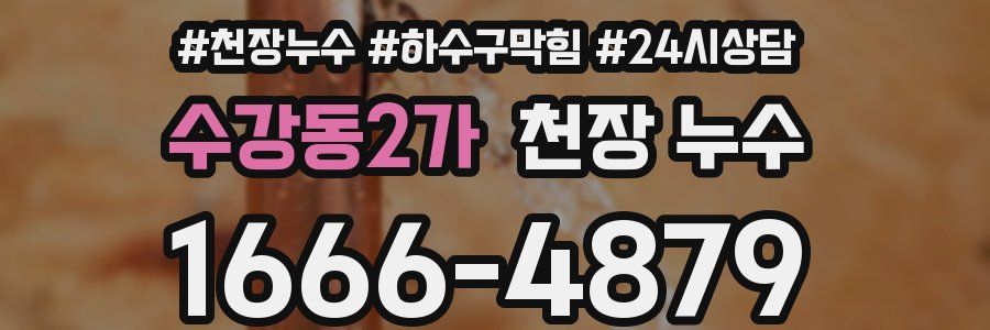 수강동2가 천장 누수