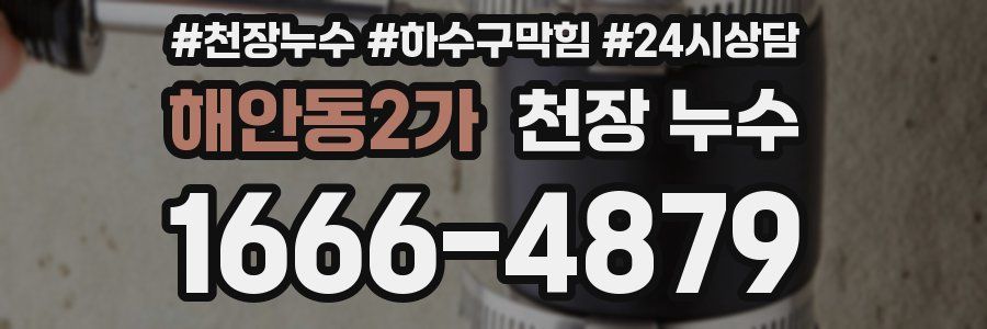 해안동2가 천장 누수