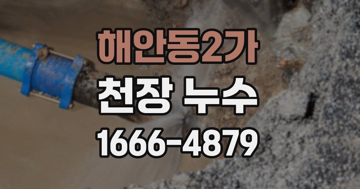 해안동2가 천장 누수