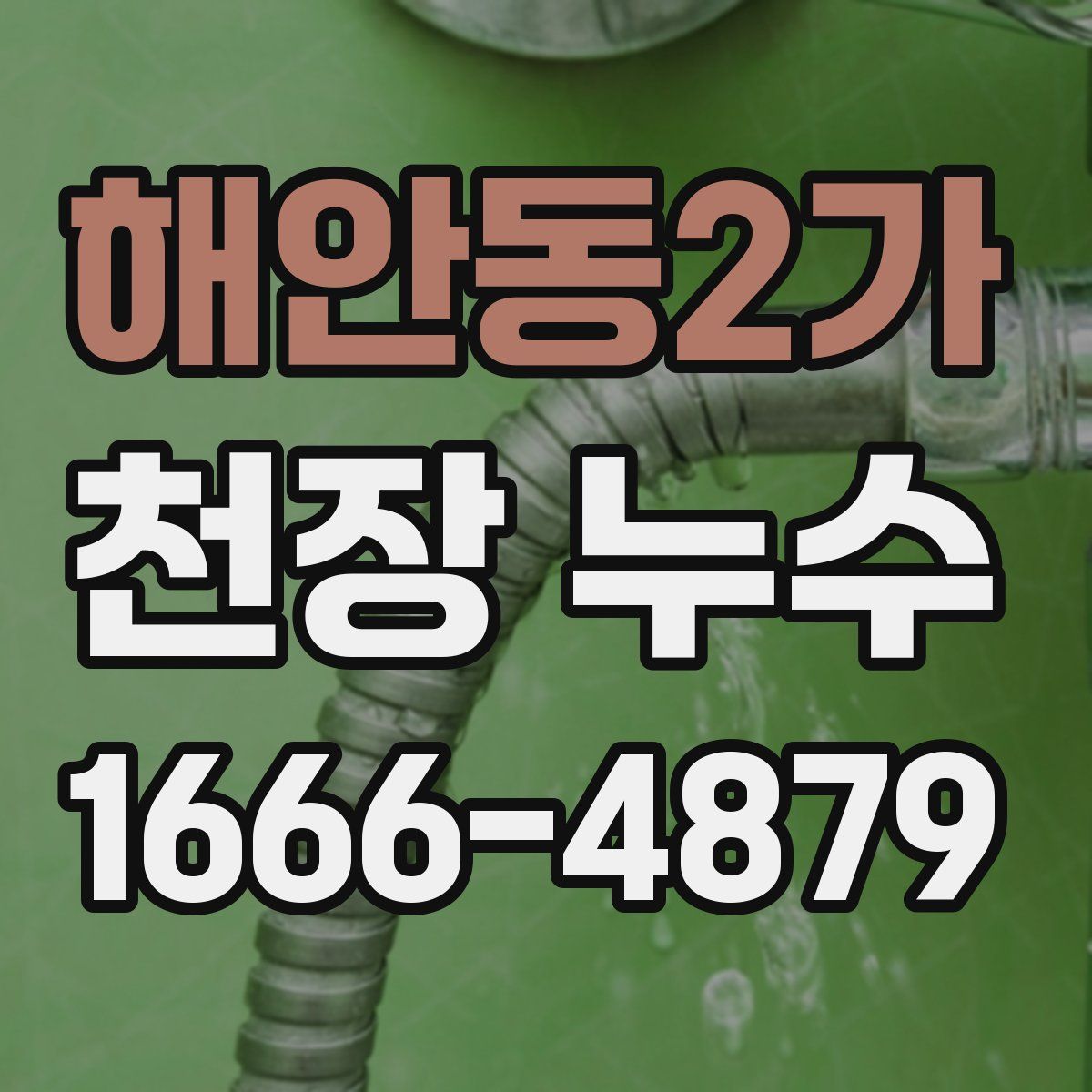 해안동2가 천장 누수