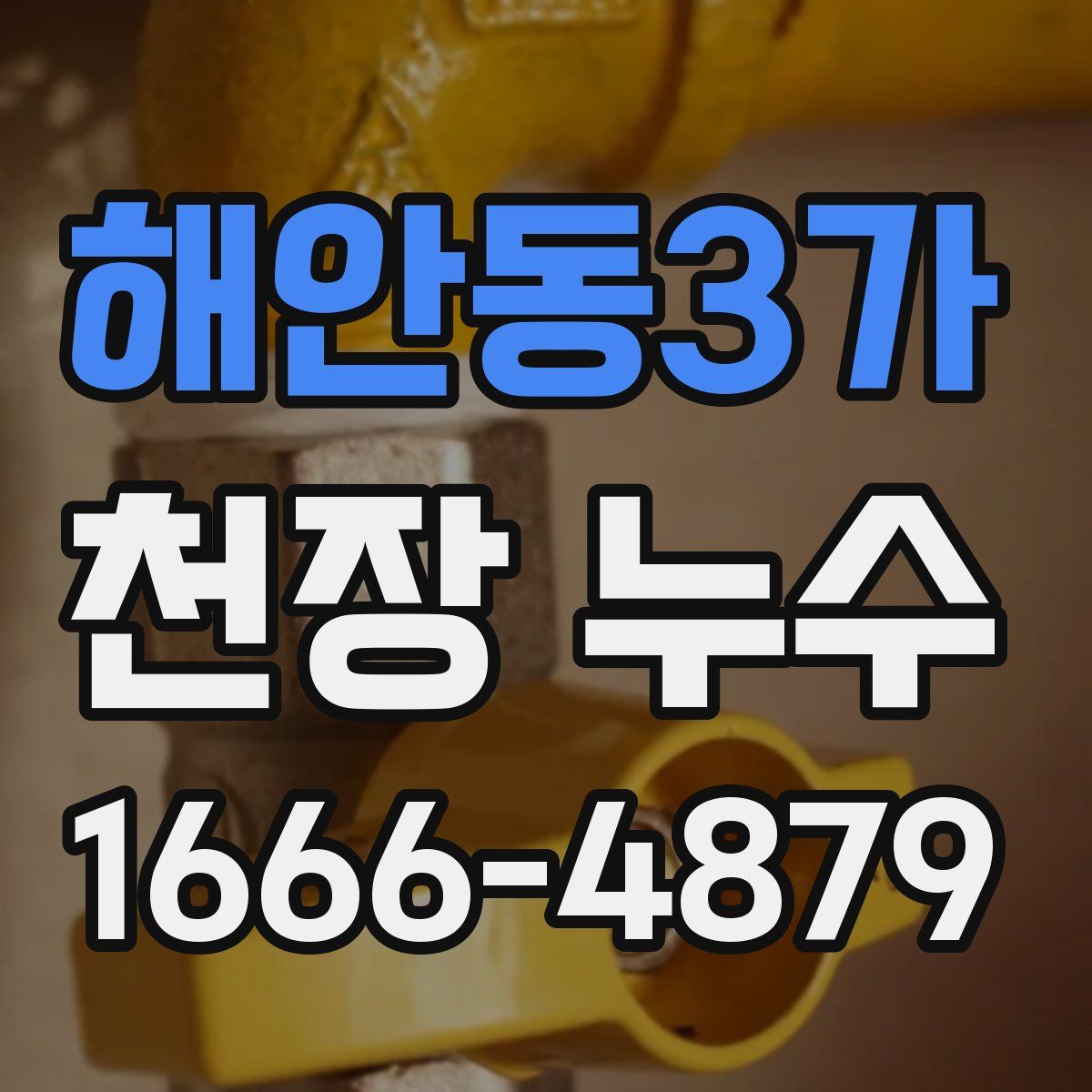 해안동3가 천장 누수