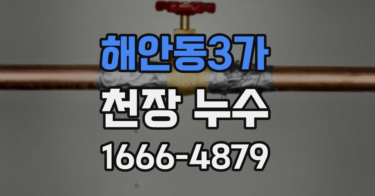 해안동3가 천장 누수