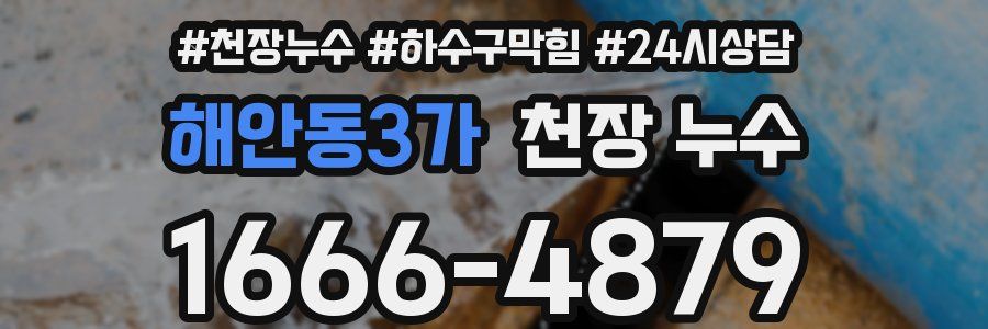 해안동3가 천장 누수