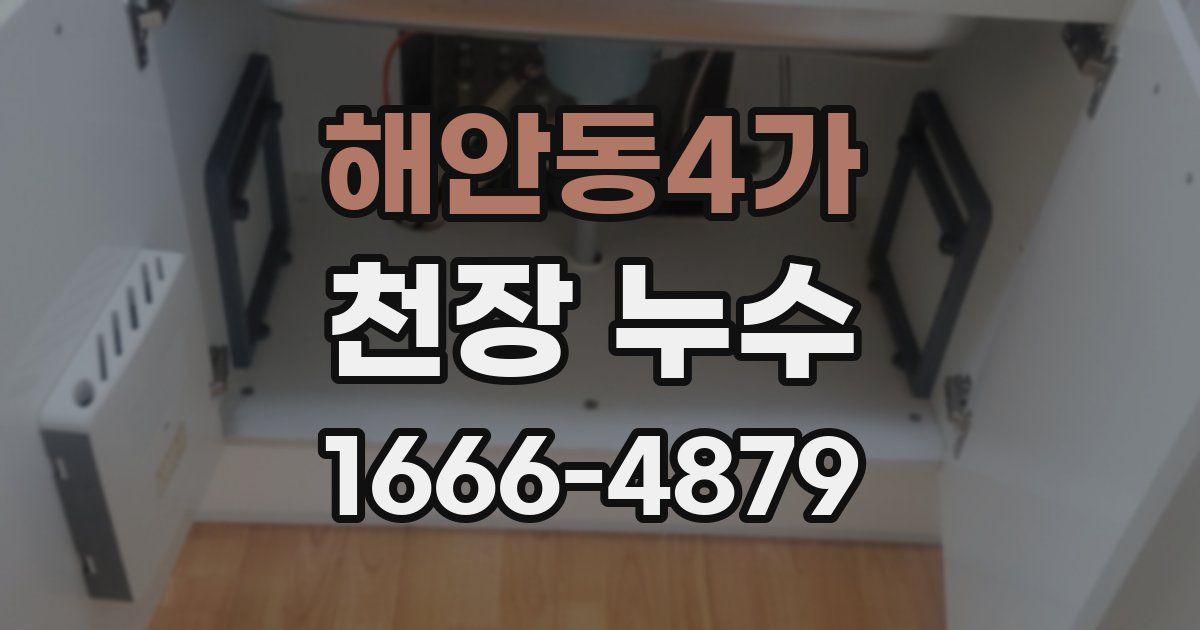 해안동4가 천장 누수