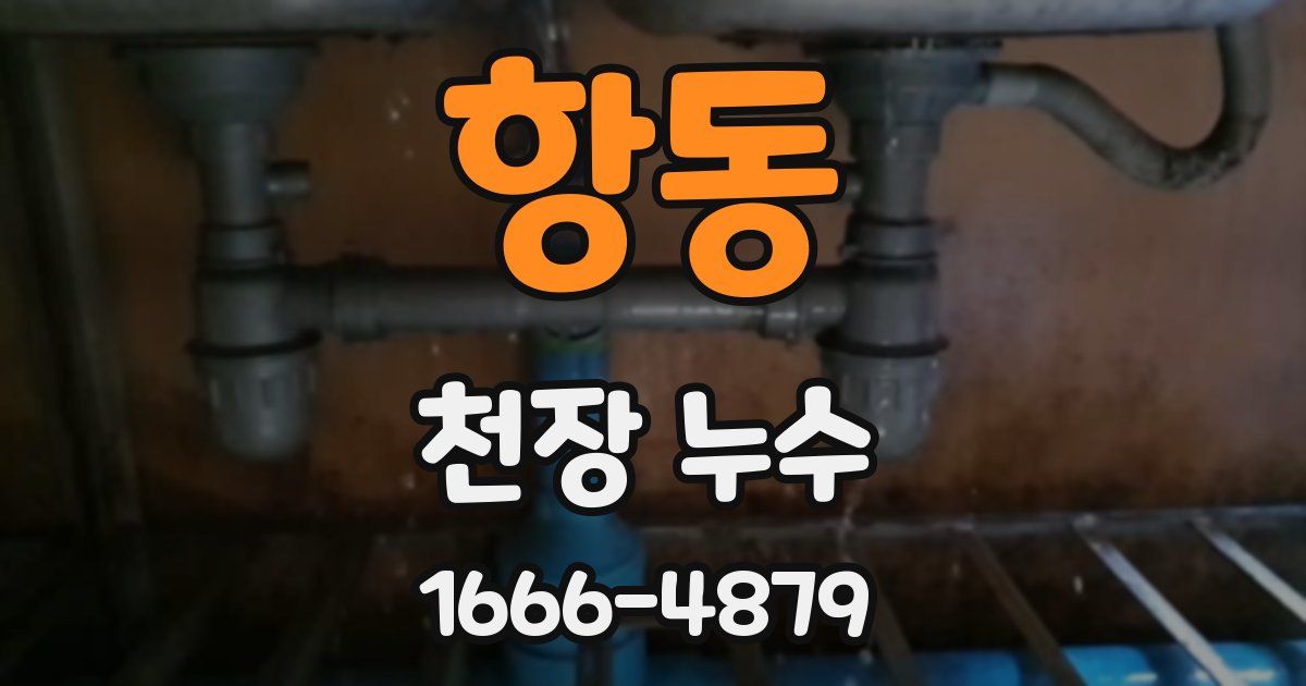 항동 천장 누수