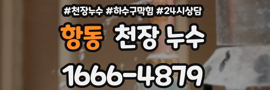 항동 천장 누수