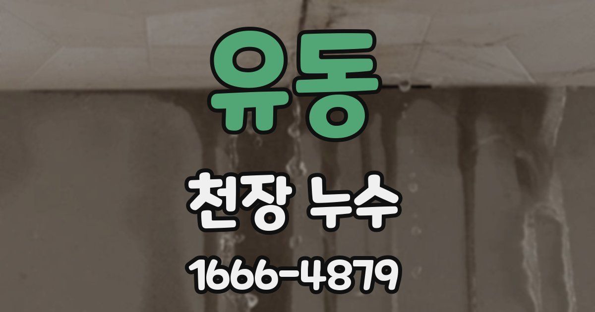 유동 천장 누수