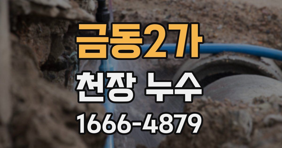 금동2가 천장 누수