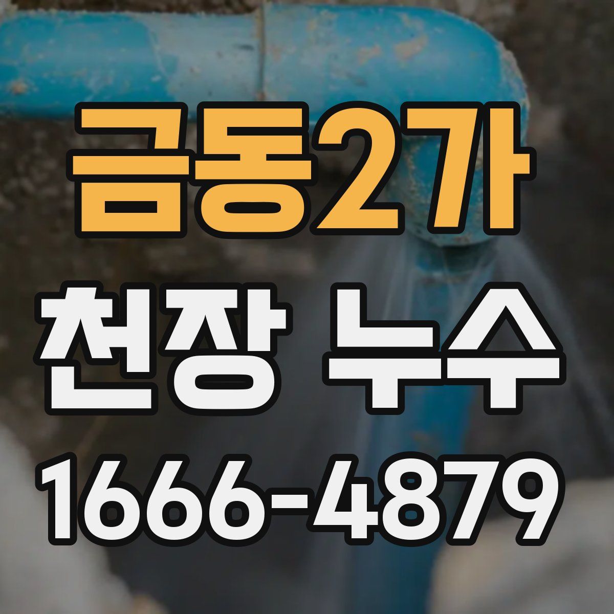 금동2가 천장 누수