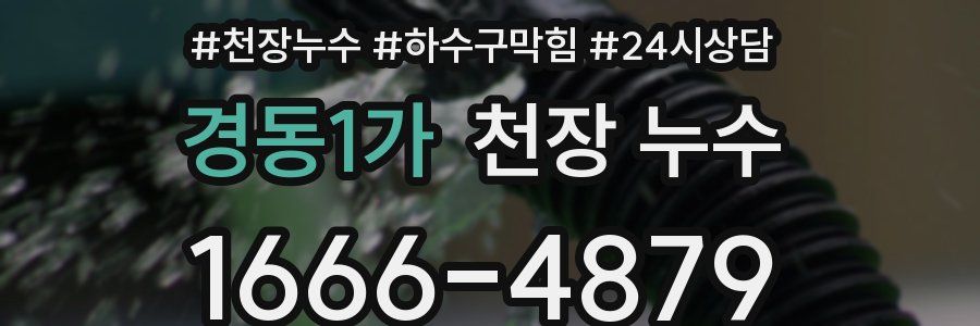 경동1가 천장 누수