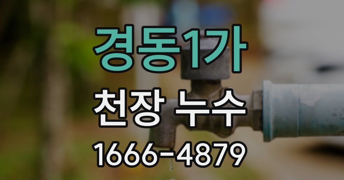 경동1가 천장 누수