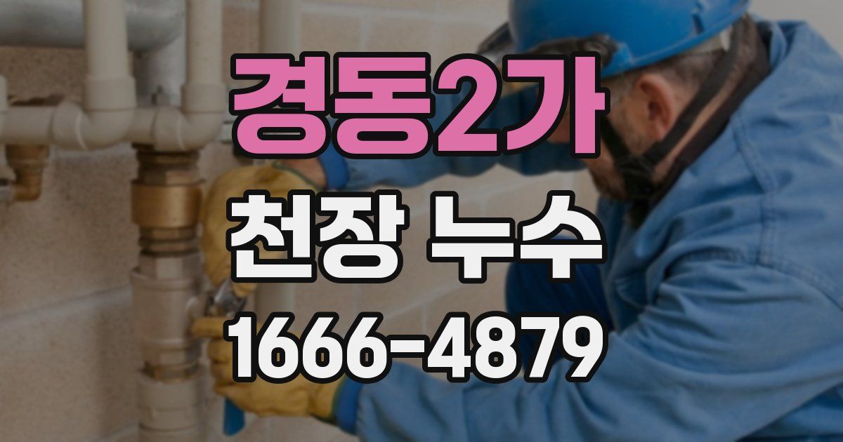 경동2가 천장 누수