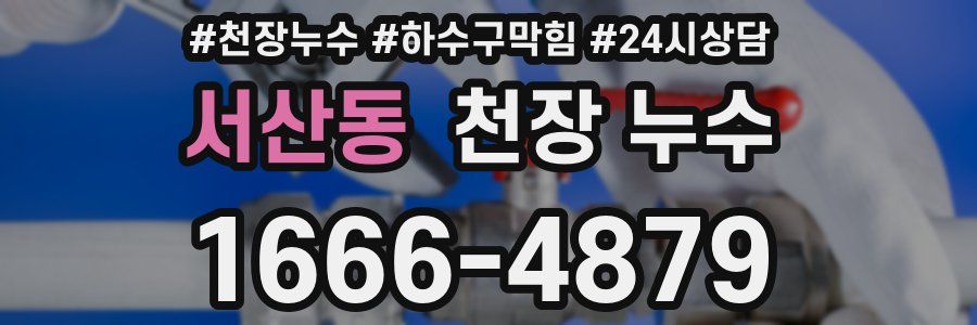 서산동 천장 누수