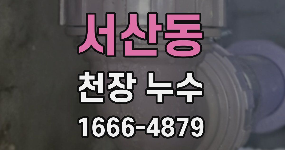 서산동 천장 누수