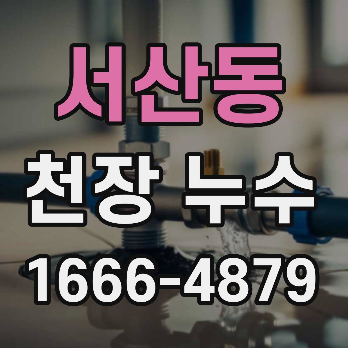 서산동 천장 누수