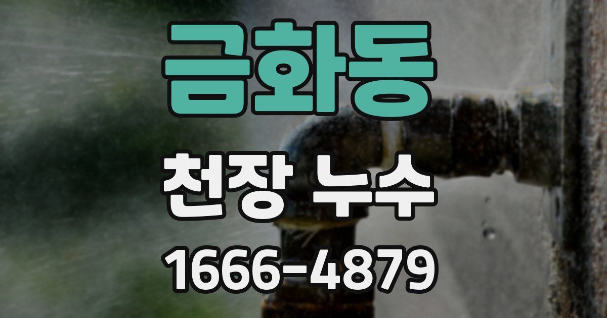 금화동 천장 누수