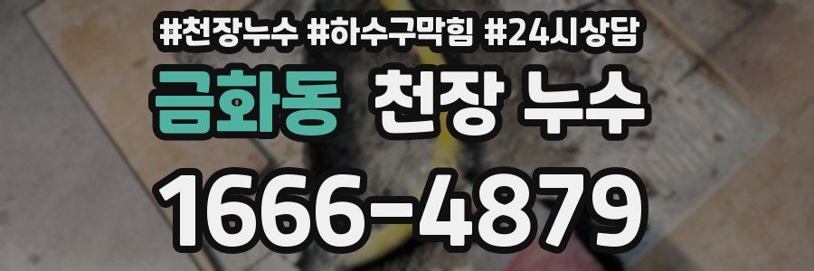 금화동 천장 누수