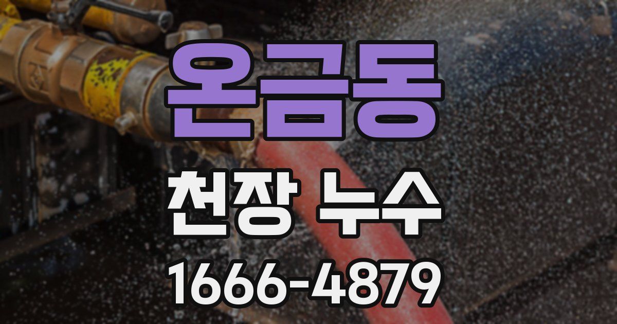 온금동 천장 누수