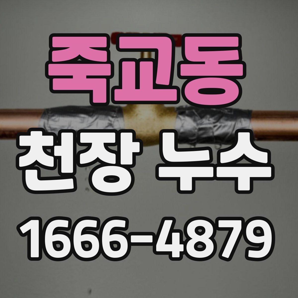 죽교동 천장 누수