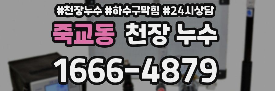 죽교동 천장 누수