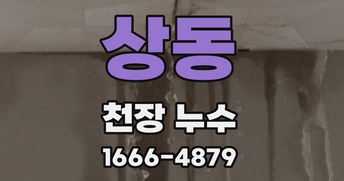 상동 천장 누수