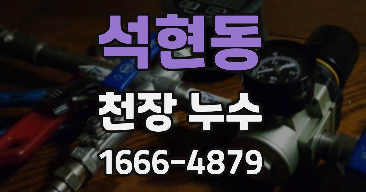 석현동 천장 누수