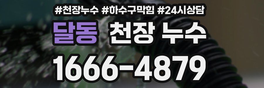 달동 천장 누수