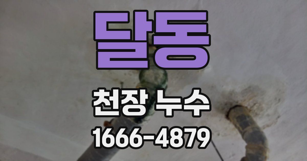 달동 천장 누수