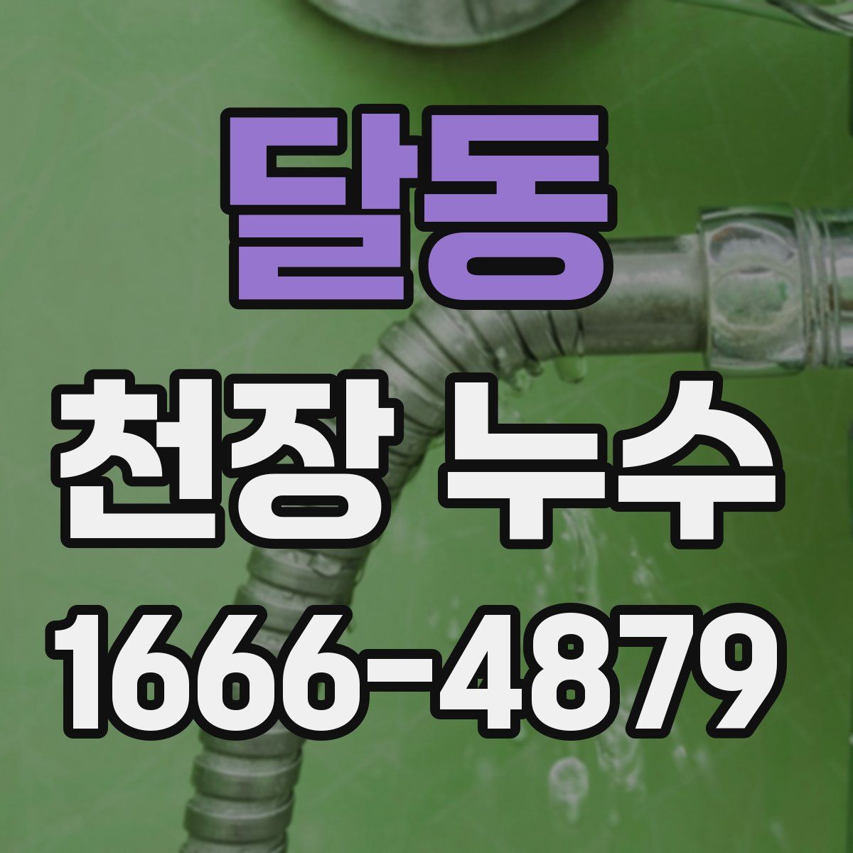 달동 천장 누수