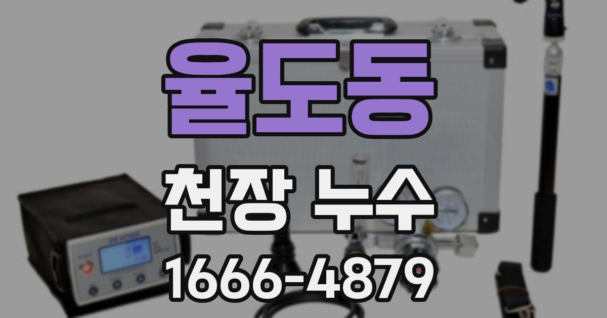 율도동 천장 누수