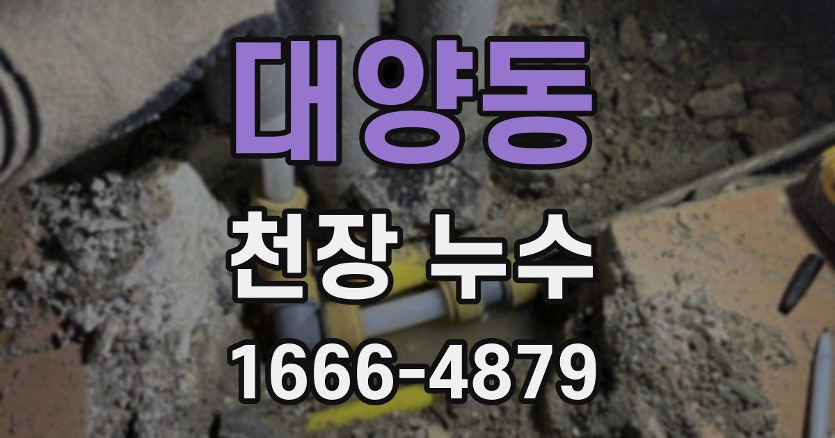 대양동 천장 누수