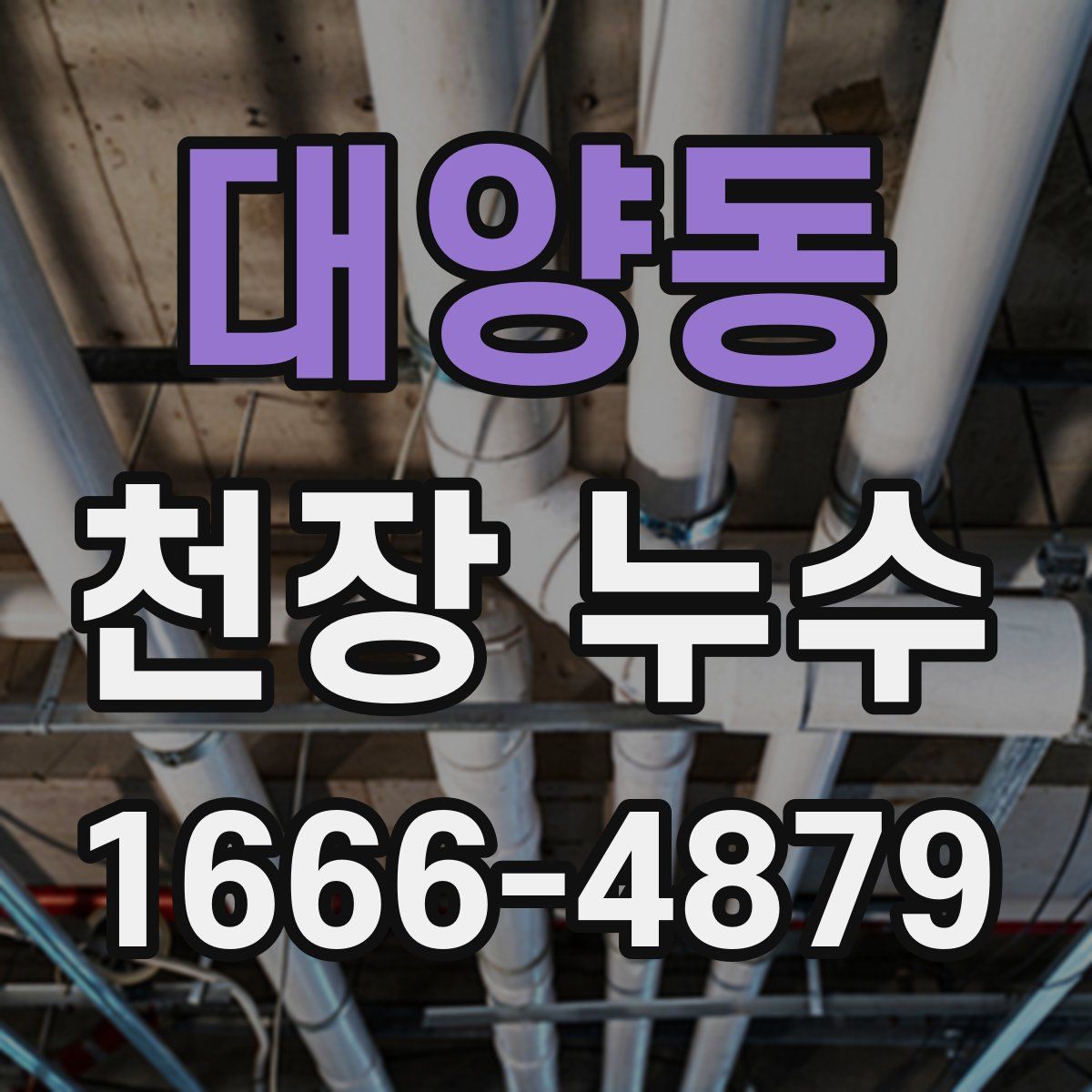 대양동 천장 누수