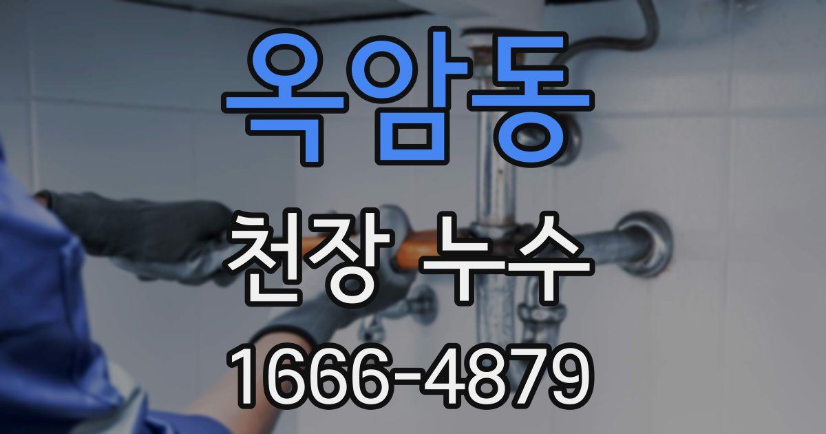 옥암동 천장 누수