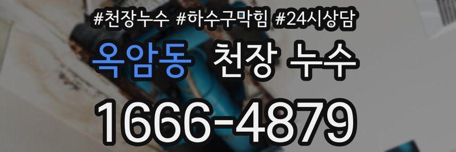 옥암동 천장 누수