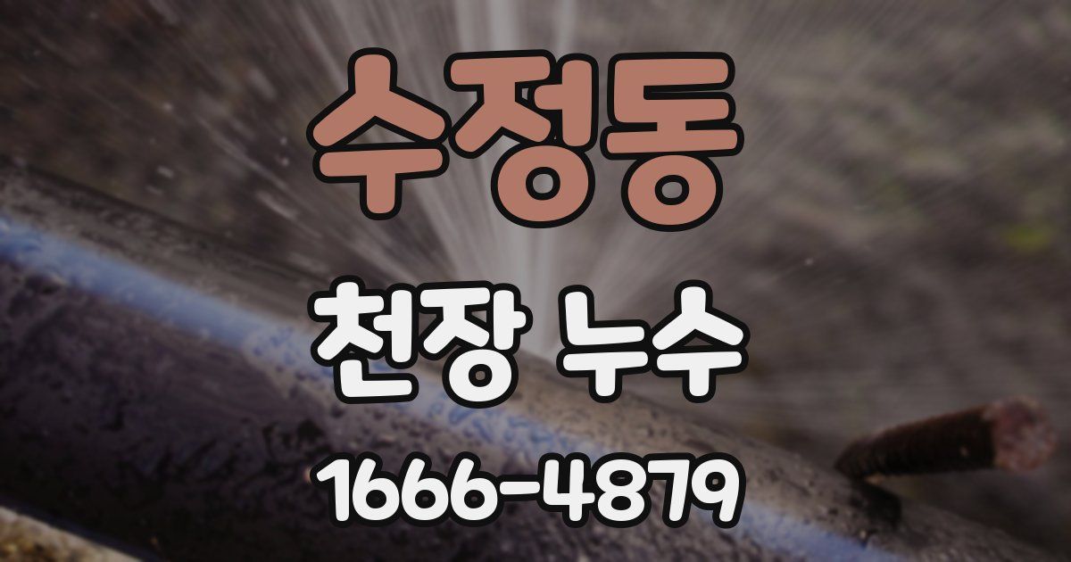 수정동 천장 누수