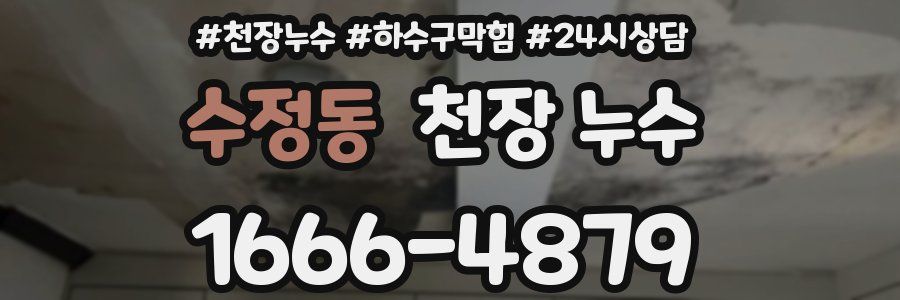 수정동 천장 누수