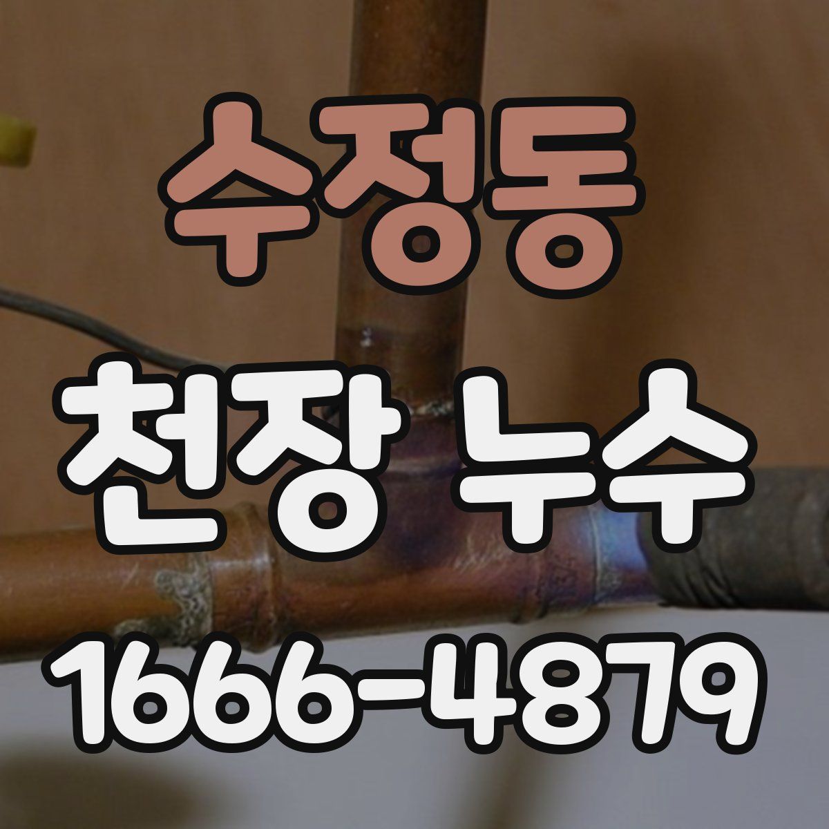 수정동 천장 누수