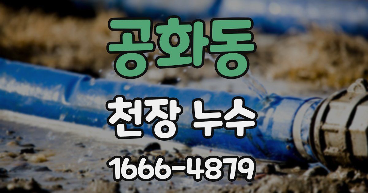 공화동 천장 누수