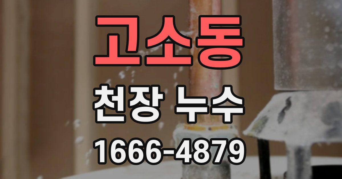 고소동 천장 누수