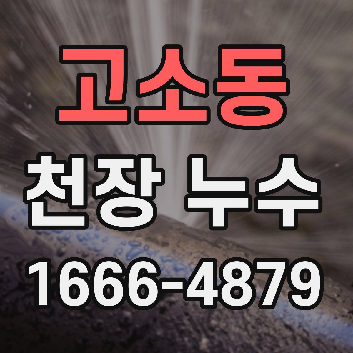 고소동 천장 누수