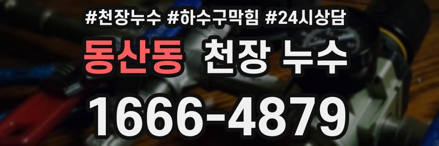 동산동 천장 누수