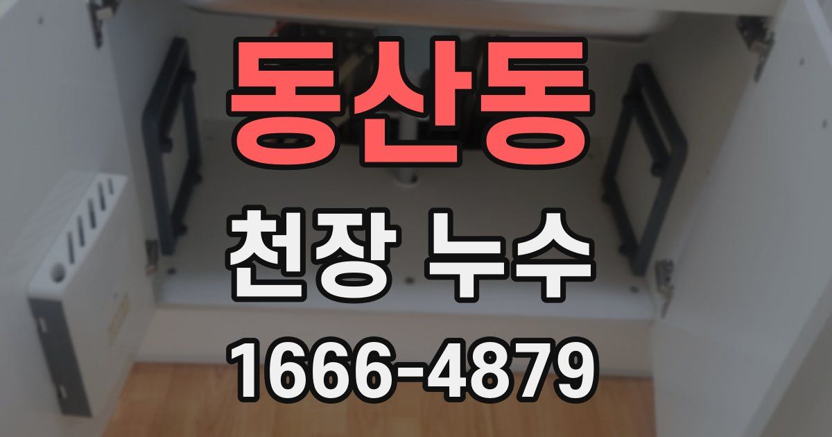 동산동 천장 누수