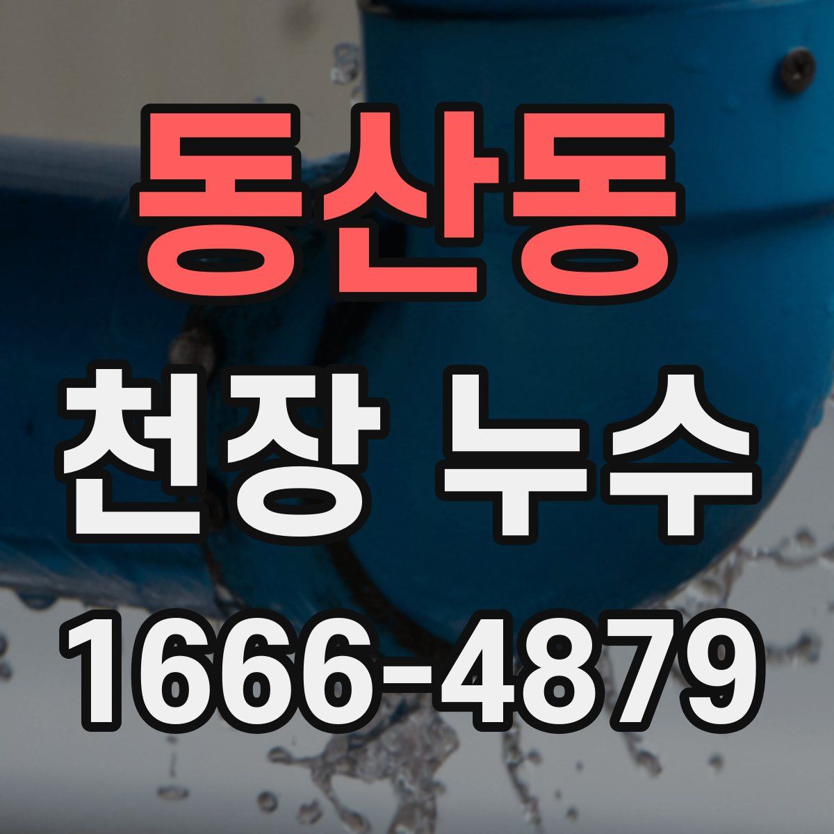 동산동 천장 누수