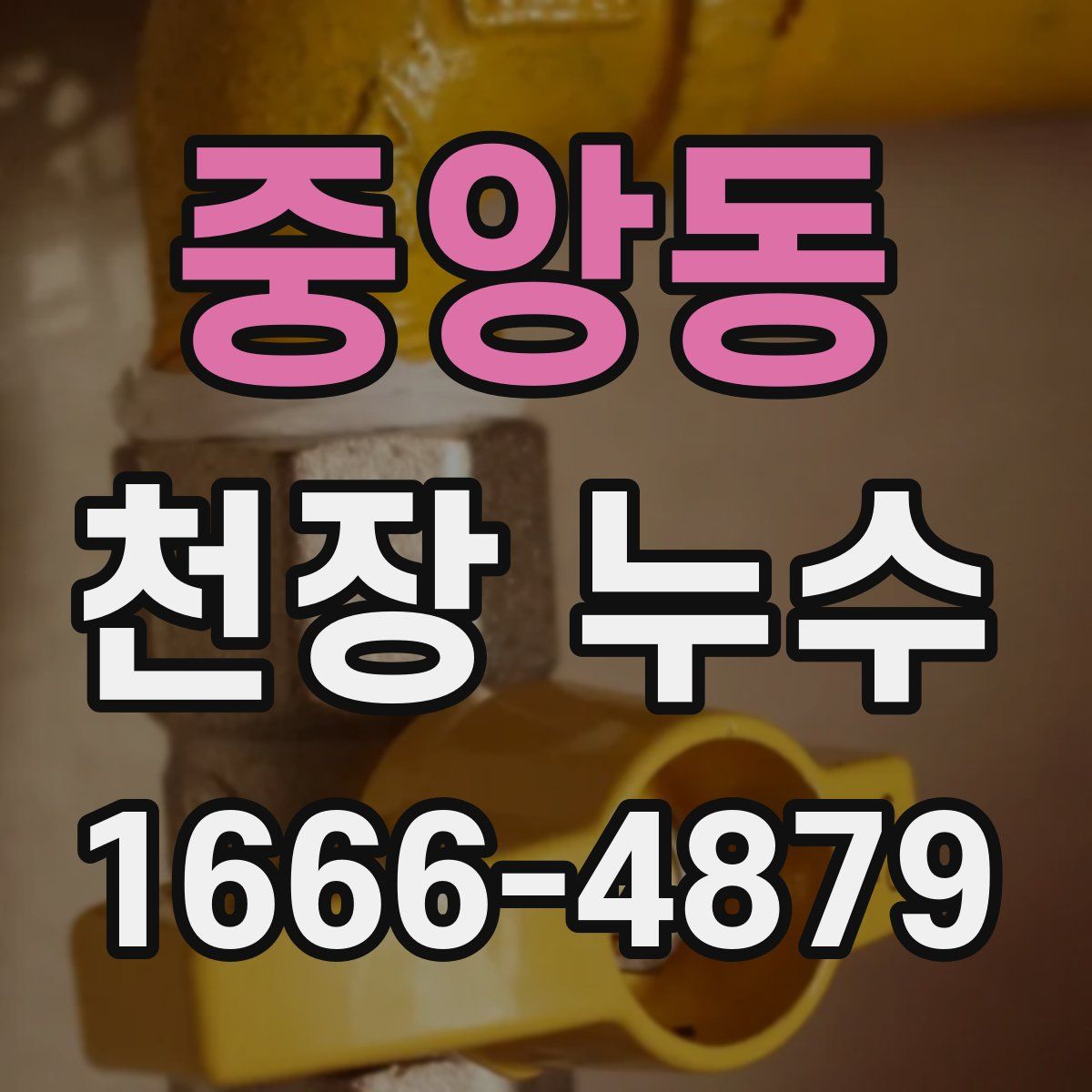 중앙동 천장 누수